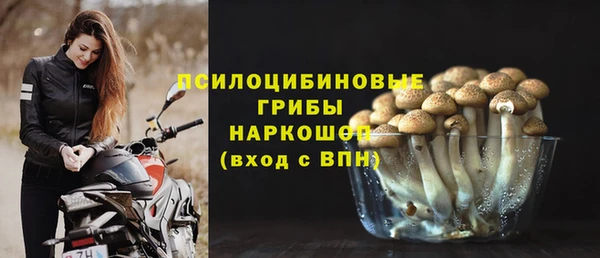 дмт Алексин