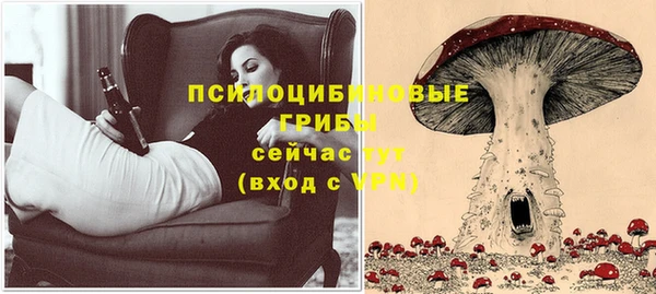марки lsd Абаза