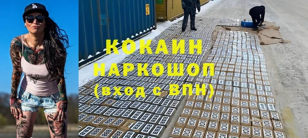 гидра Алексеевка