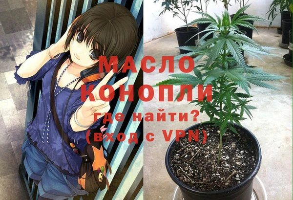 2c-b Надым