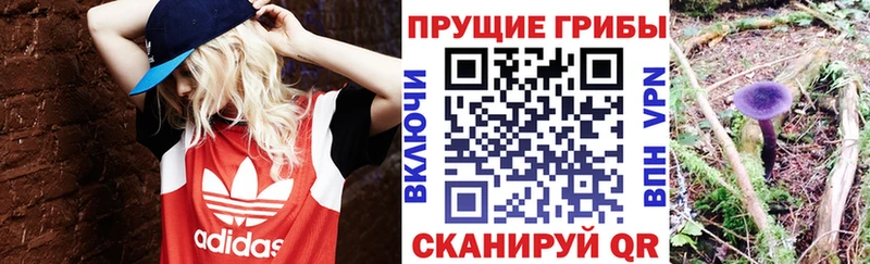 Галлюциногенные грибы GOLDEN TEACHER  Советская Гавань 
