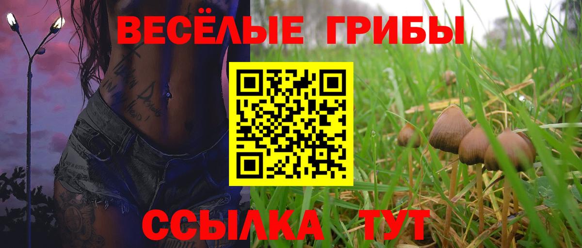 Псилоцибиновые грибы MAGIC MUSHROOMS  Вход с VPN  Советская Гавань 